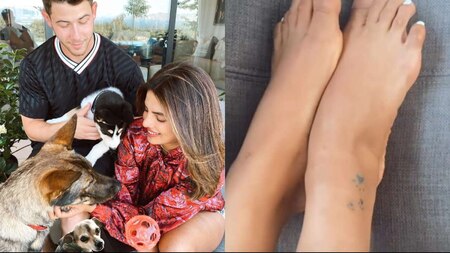 Priyanka Chopra recently got a tattoo dedicated other three dogs