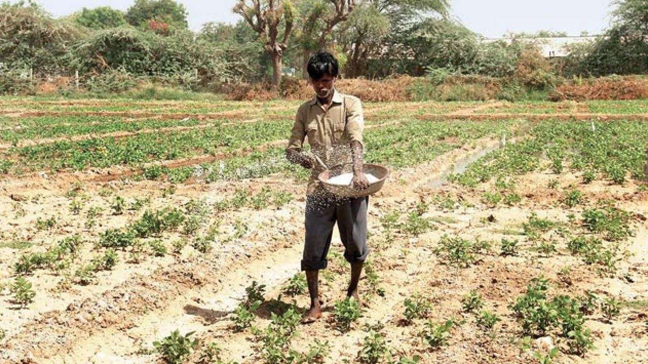 farmer