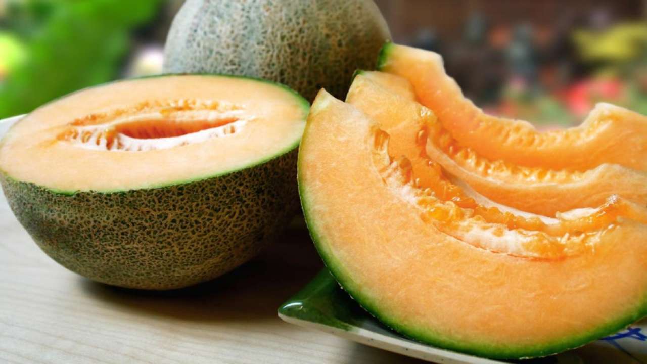 Yubari King Melon