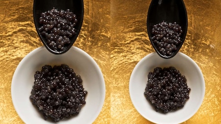 Most expensive and delicious Almas Caviar