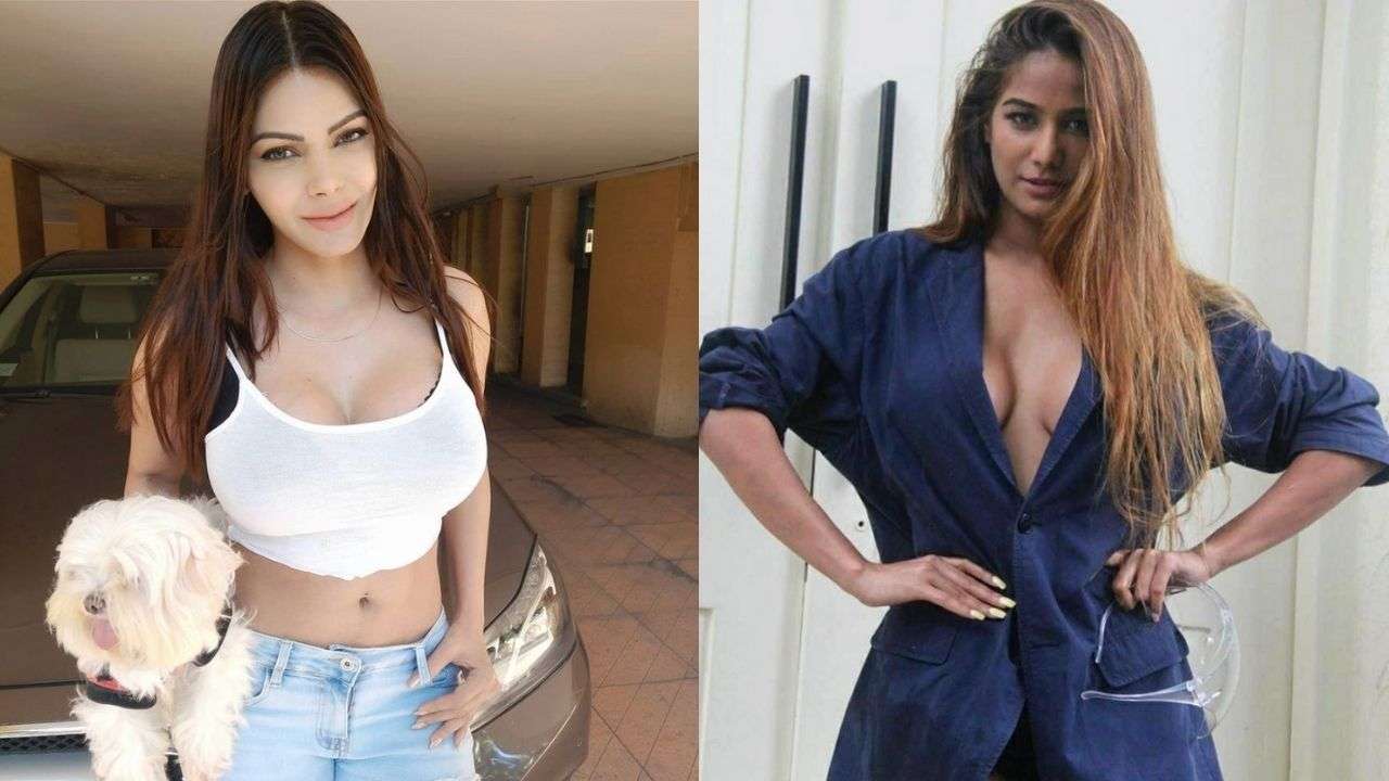 Sax Saxy Video Poonam - Sherlyn Chopra, Poonam Pandey get big relief in Raj Kundra porn films case  - know details