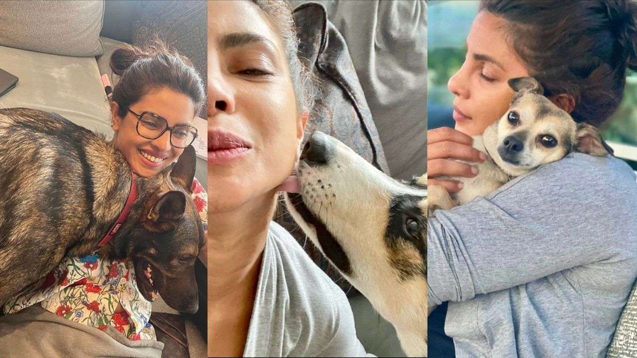 Priyanka Chopra with her dogs - Diana, Gino, Panda