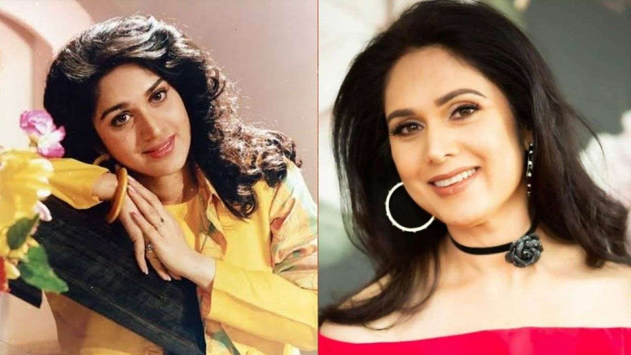 1280px x 720px - Meenakshi Seshadri, Rambha, Preity Zinta: Bollywood actresses who left the  industry and settled abroad