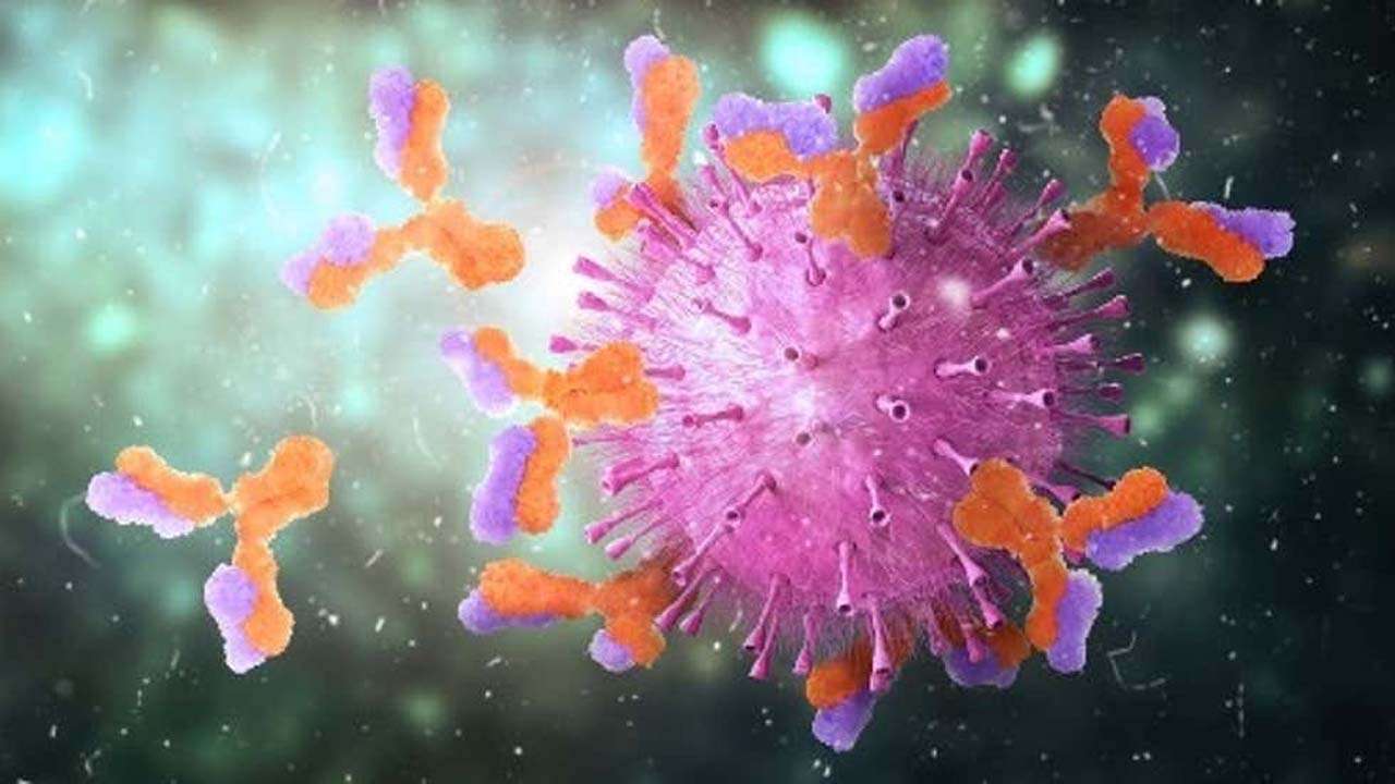 Delta variant found among four infected in Prayagraj