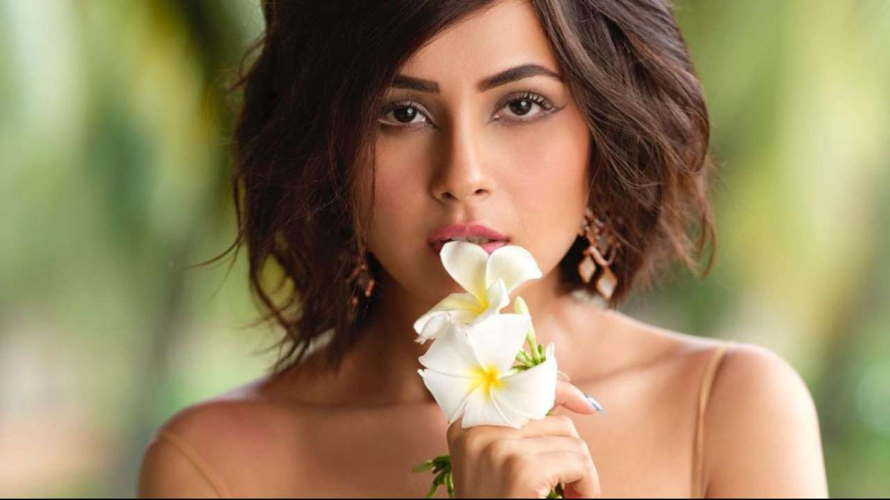 Photos: Shehnaaz Gill looks smouldering as she poses in floral bralette