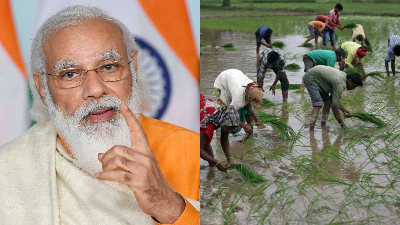 PM KISAN scheme update: PM Modi to announce 9th installment for 12 crore beneficiaries - How to check