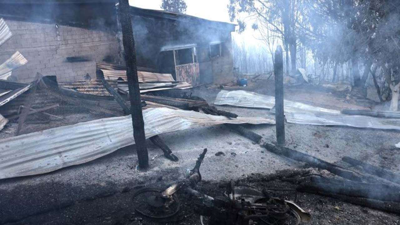 Greece wildfire: Climate change devouring forests and inhabitations ...