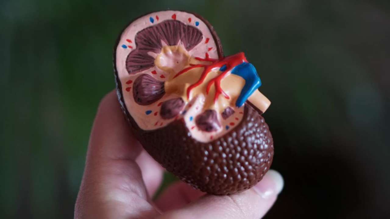 41-year-old man ends up with 5 kidneys after 3 transplants
