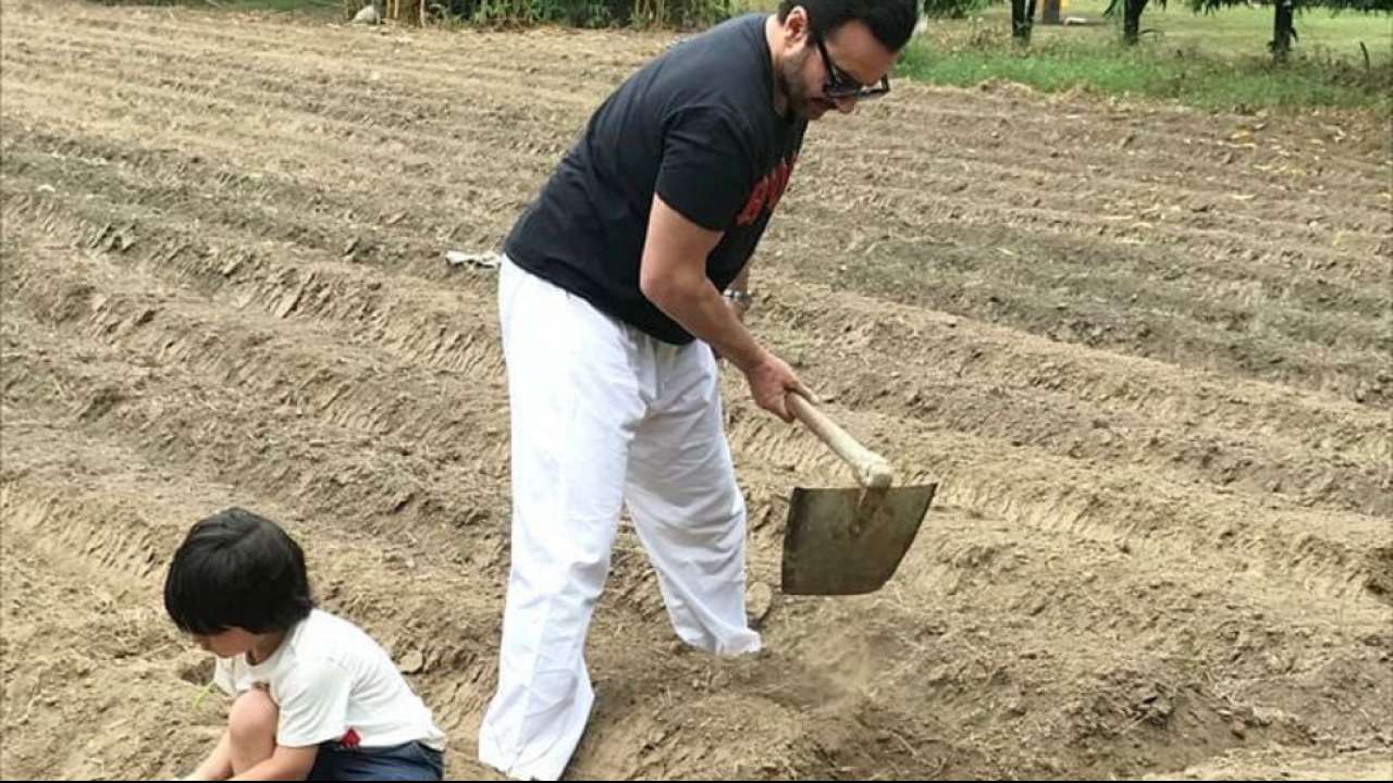 Saif Ali Khan plants a tree with son Taimur