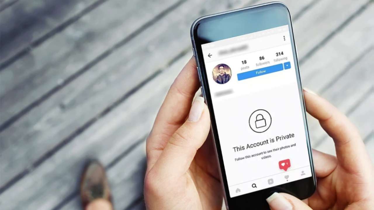how to view private instagram profiles no survey