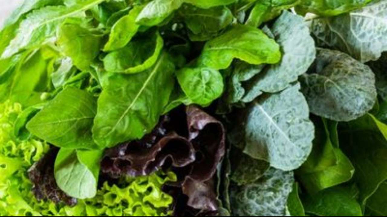 From eggs to leafy greens Foods that will help you lose weight