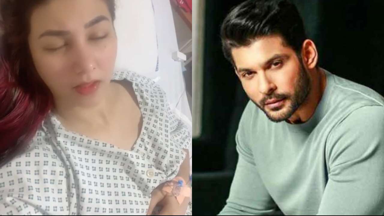 1280px x 720px - sidharth shukla death news News: Read Latest News and Live Updates on  sidharth shukla death news, Photos, and Videos at DNAIndia