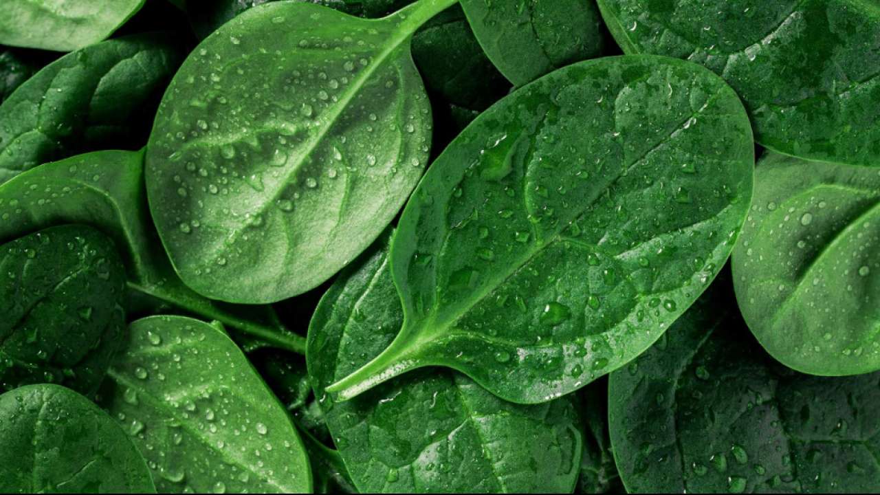 Spinach