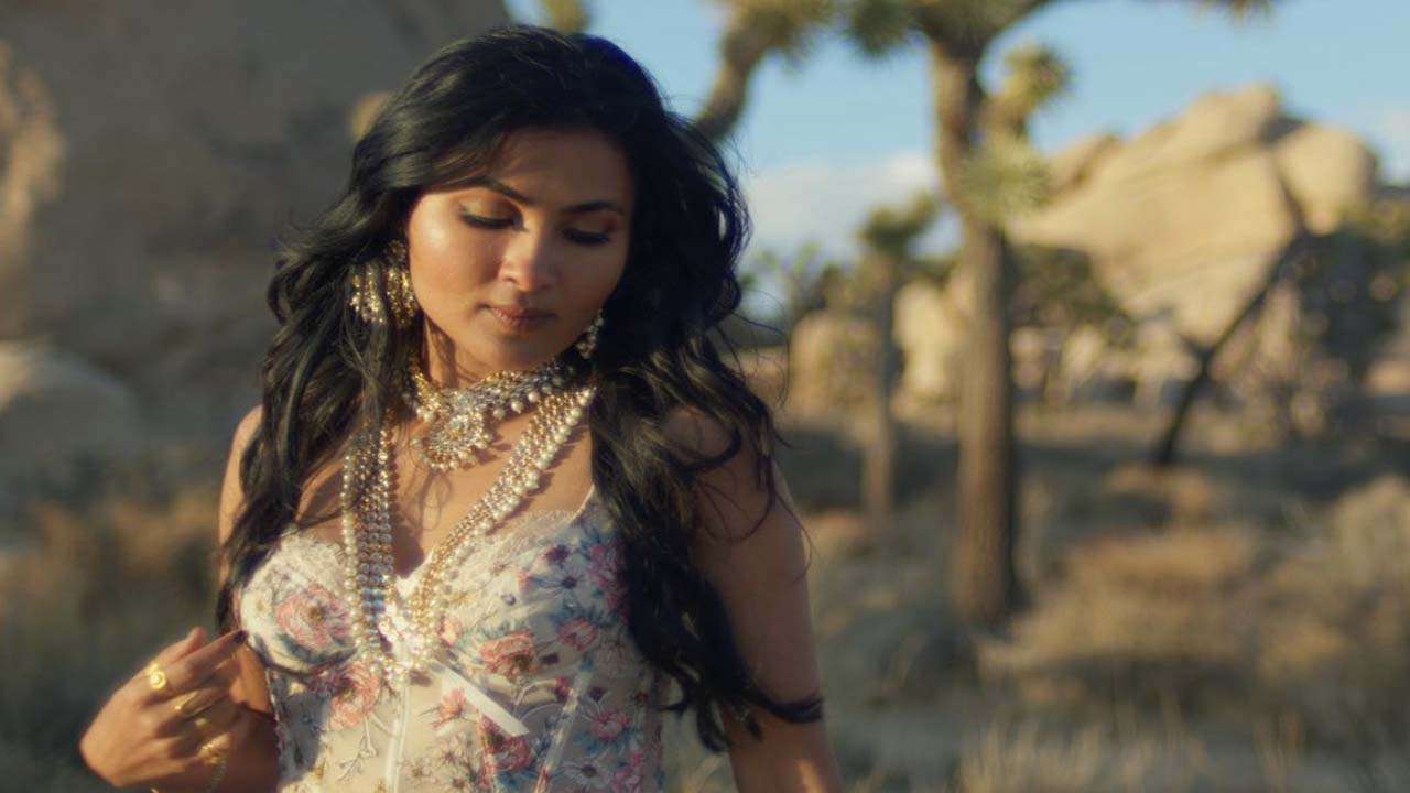 Vidya Vox has net worth of about USD 1.3 million