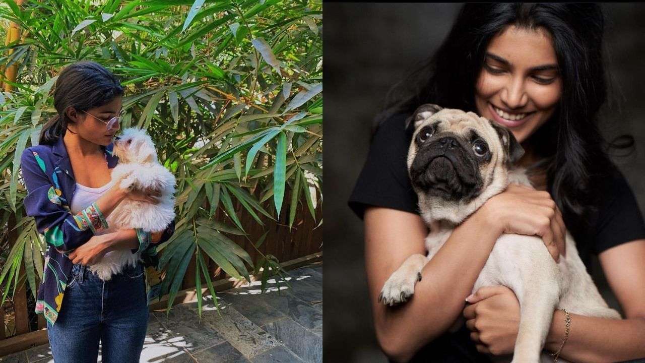 Alizeh Agnihotri is a dog lover