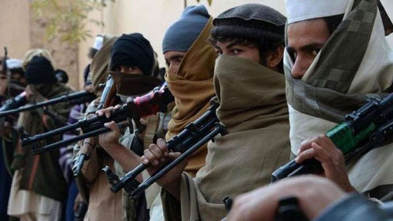 Six government employees sacked for terror links: Sources