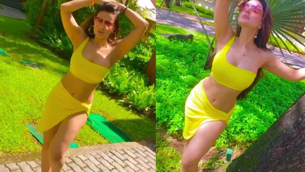Daisy Shah Xxx - Ameesha Patel is hotness overloaded in latest photos, flaunts her sexy  figure in colourful bikinis - see pics