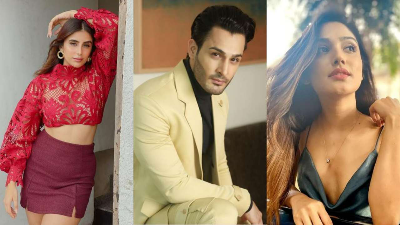 Donal Bisht, Miesha Iyer, Umar Riaz: 'Bigg Boss 15' CONFIRMED list of ...