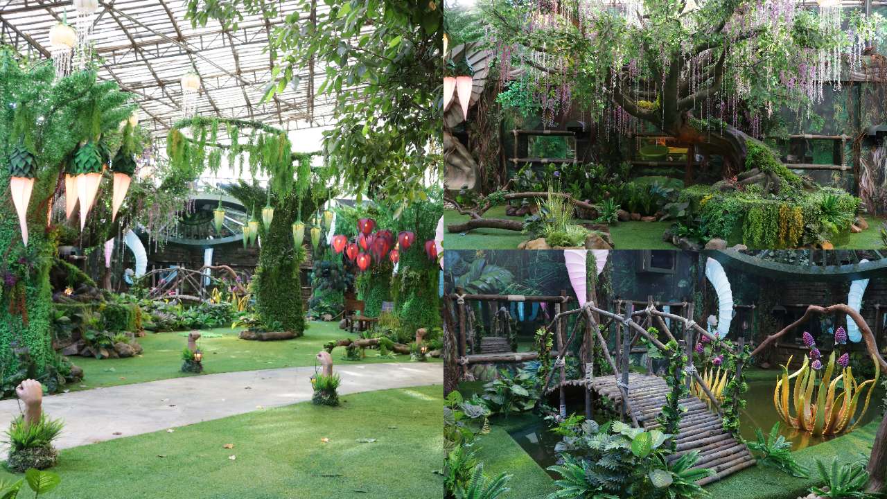 'Bigg Boss 15' house: Jungle Ka Dangal