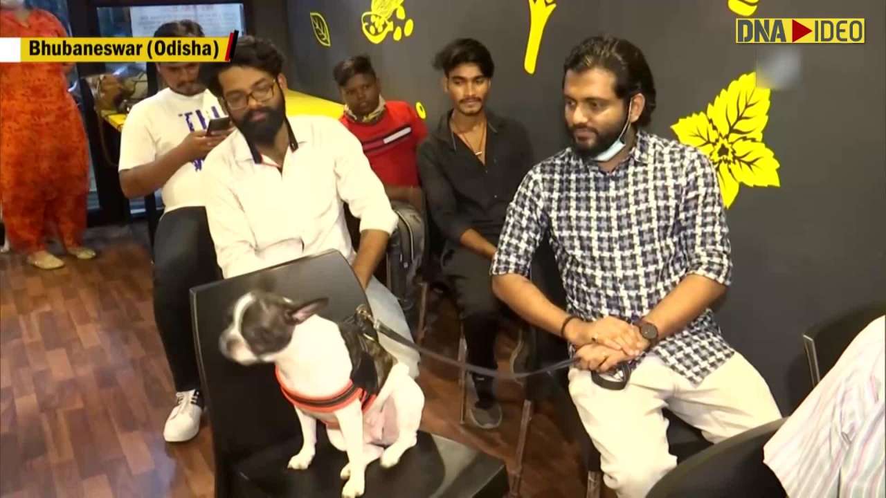 Bhubaneswar-based NPO organisesevent for animal lovers Bhubaneswar-based NPO organisesevent for animal lovers
