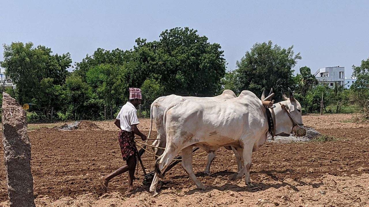PM Kisan Samman Nidhi: Farmers likely to receive Rs 2,000 on this date
