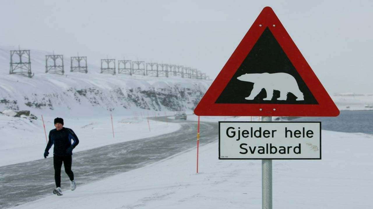 Arctic may not have any polar bears left by 2100 Arctic may not have any polar bears left by 2100