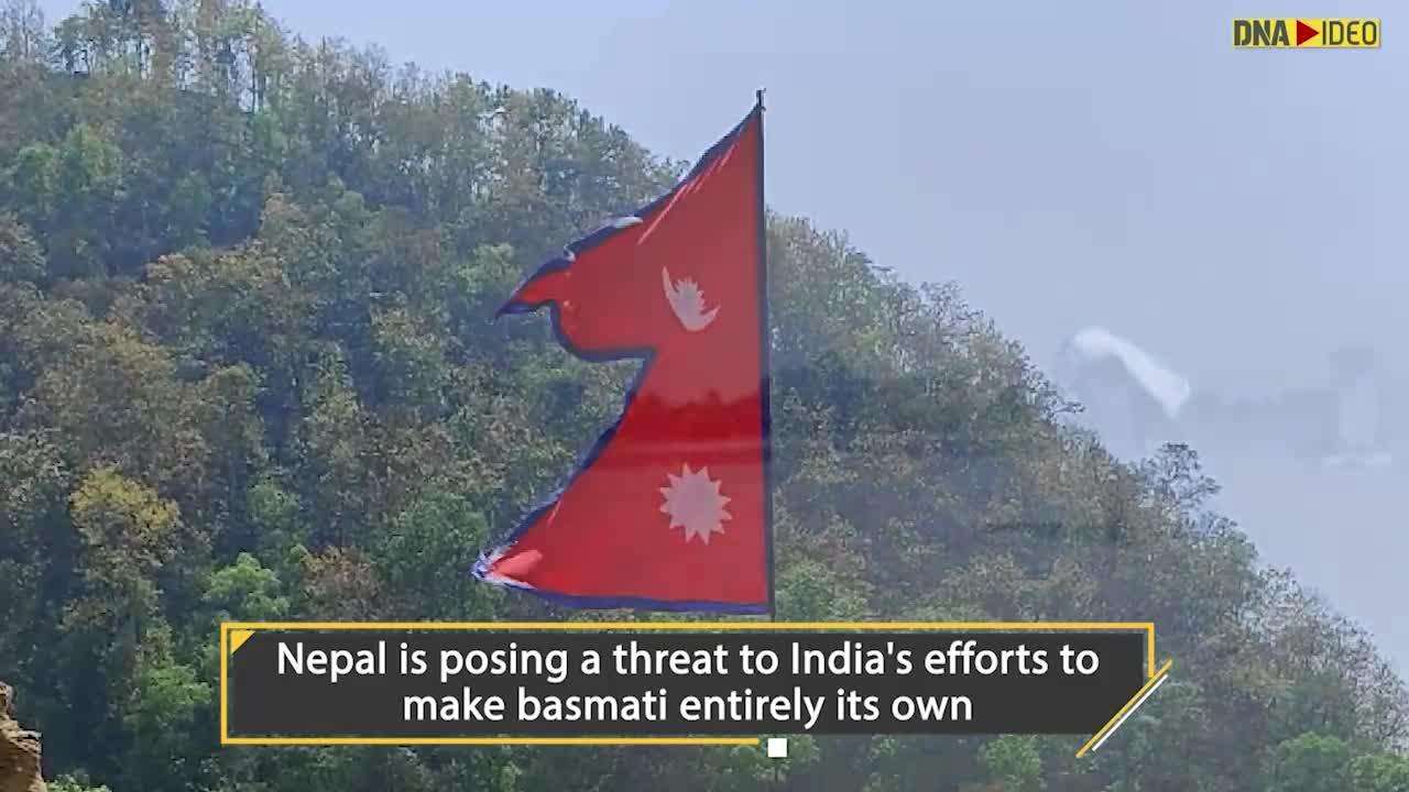 GI tag for Basmati rice Nepal poses big threat to India