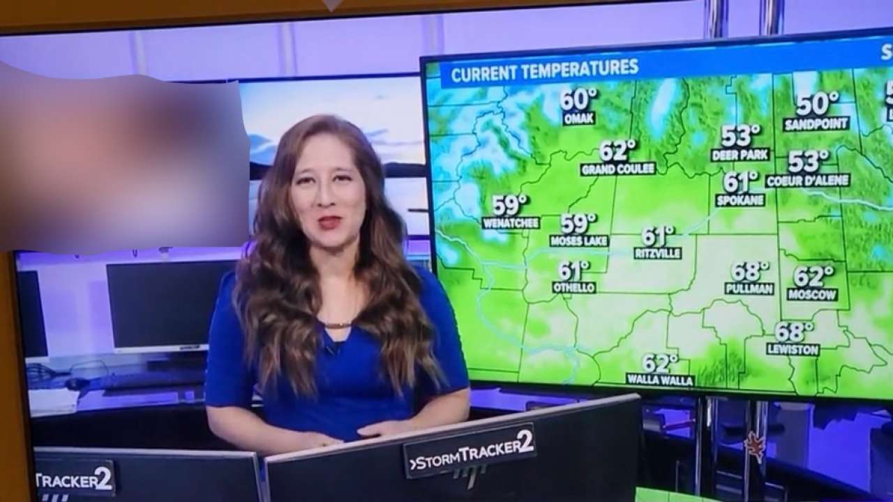 TV Channel shows p**n for 13 seconds while news anchor reads weather update