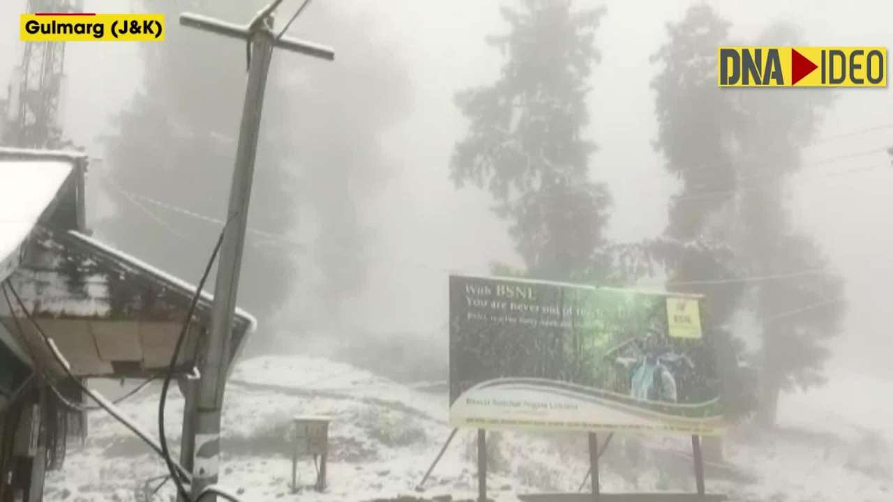 Watch: Gulmarg Receives Season's First Snowfall