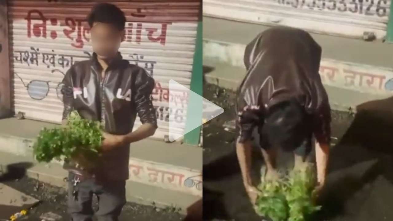 Video of vegetable seller washing coriander in drain water goes viral, WATCH
