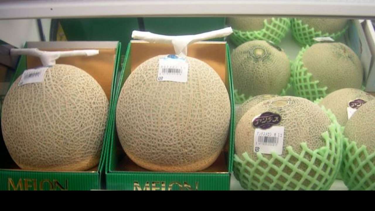 Melon kobe Ucc Melon