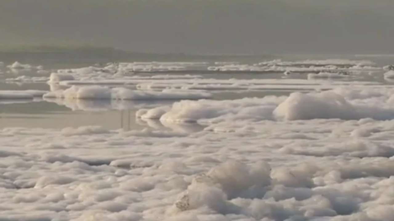 Delhi’s Yamuna river covered in toxic froth amid Chhath Puja week- Know what’s causing it Delhi’s Yamuna river covered in toxic froth amid Chhath Puja week- Know what’s causing it