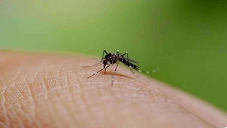 Zika cases cross 100-mark in Kanpur
