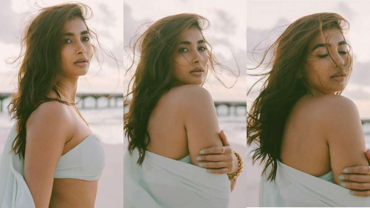 Xxxx Pooja Video - Pooja Hegde raises temperature in bikini top, drops sizzling hot photos  from Maldives vacay