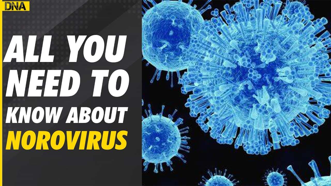 What is Norovirus and how does it spreads? Know here
