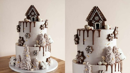 Winter Style Christmas Cake