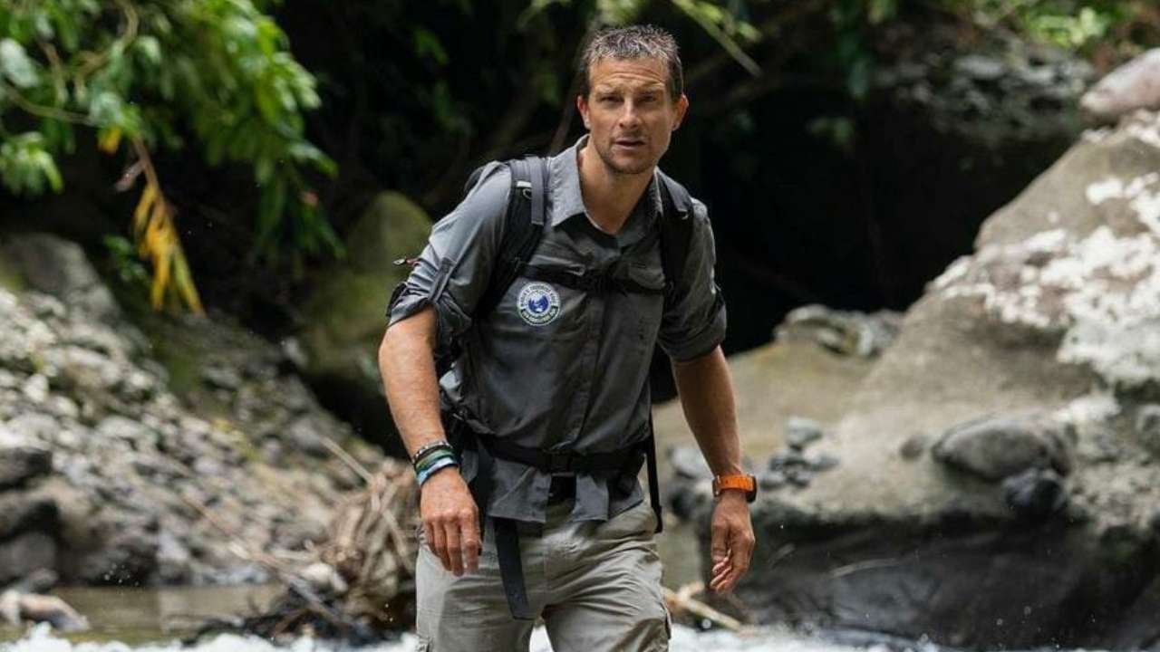 Bear Grylls regrets killing 'animals' for his shows
