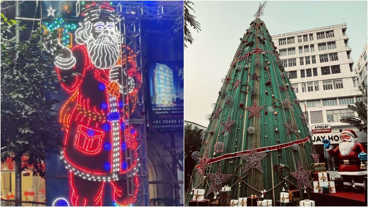 50-feet-tall Christmas tree put up at Apeejay House