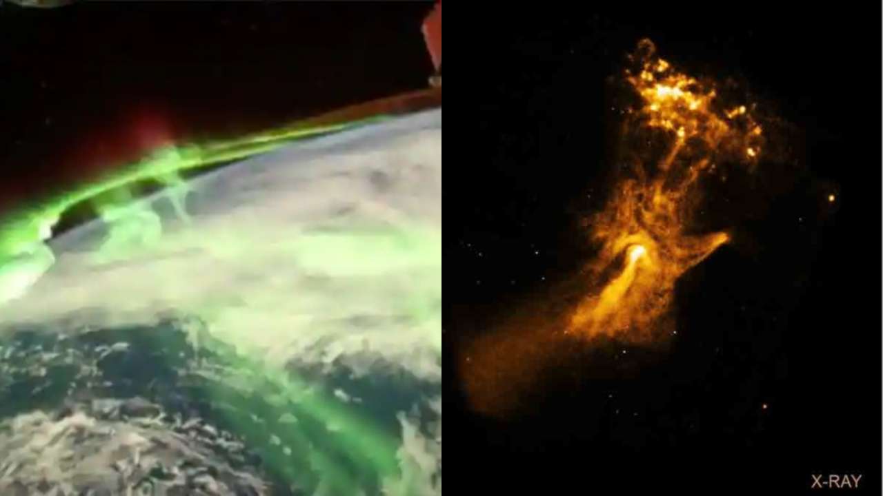 Hand Of God Dna India