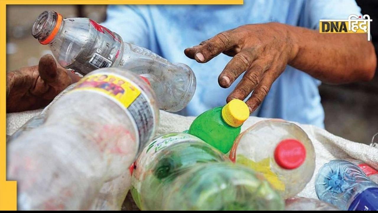 plastic ban Latest News and Updates in Hindi plastic ban के समाचार