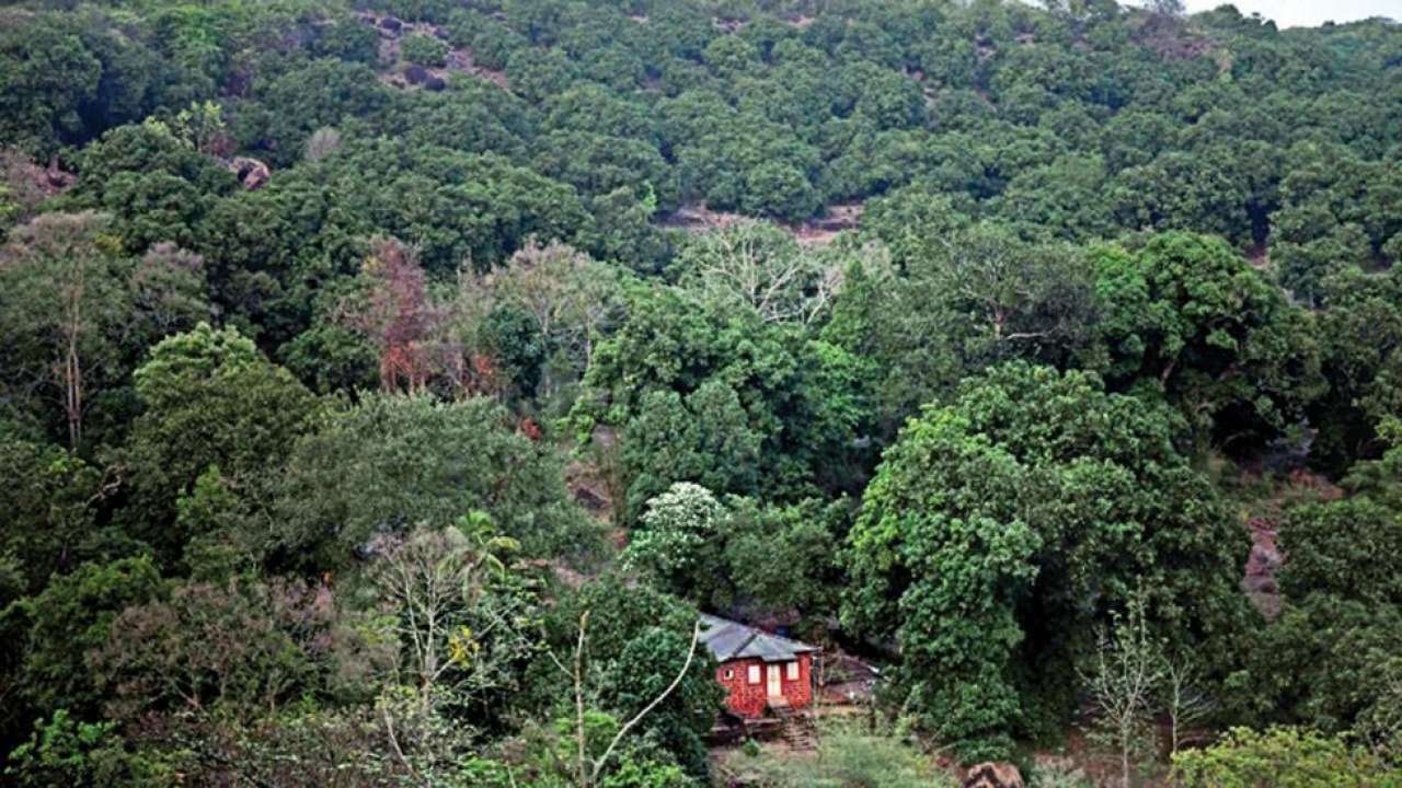 These are the Indian states with the largest forest cover