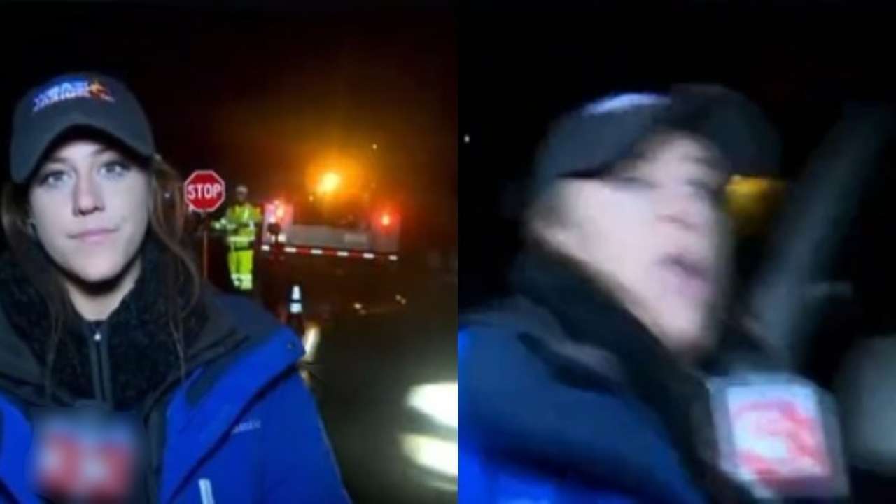 WATCH: News reporter goes viral after being hit by SUV on live TV