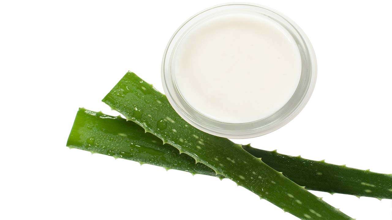 Aloe-vera and curd