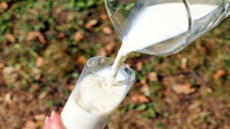 Calcium and Vitamin D very high in Milk