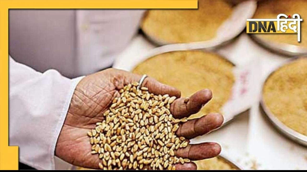Budget 2022: फूड सब्सिडी में हुई भारी कटौती, जानिए आपकी जेब पर कैसे पड़ेगा बुरा असर