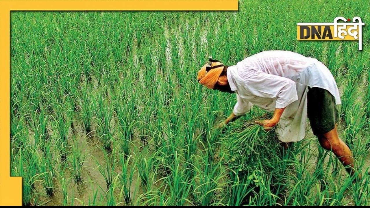 Budget 2022: वित्त मंत्री ने किसानों को दिया बड़ा झटका, खाद सब्सिडी में की गई भारी कटौती