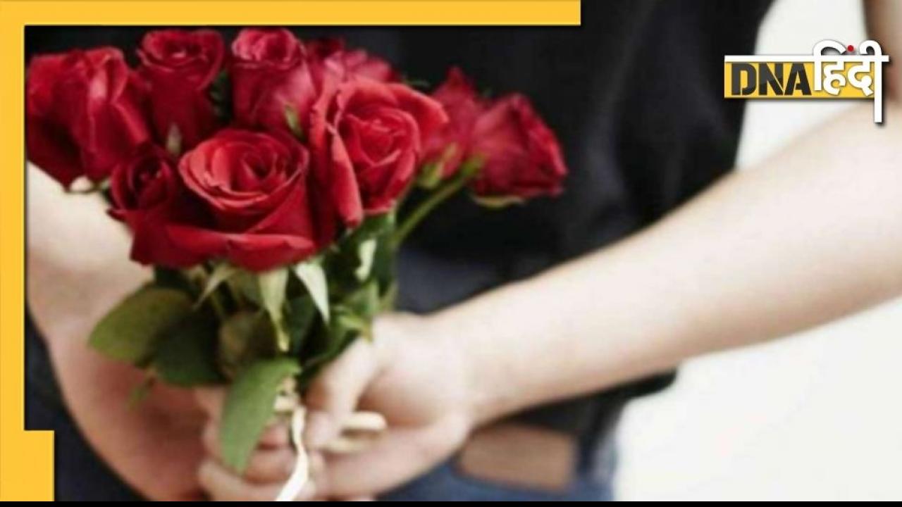 Rose Day: गुलाब के हर रंग का होता है अलग मतलब, देने से पहले ध्यान रखें ये बातें