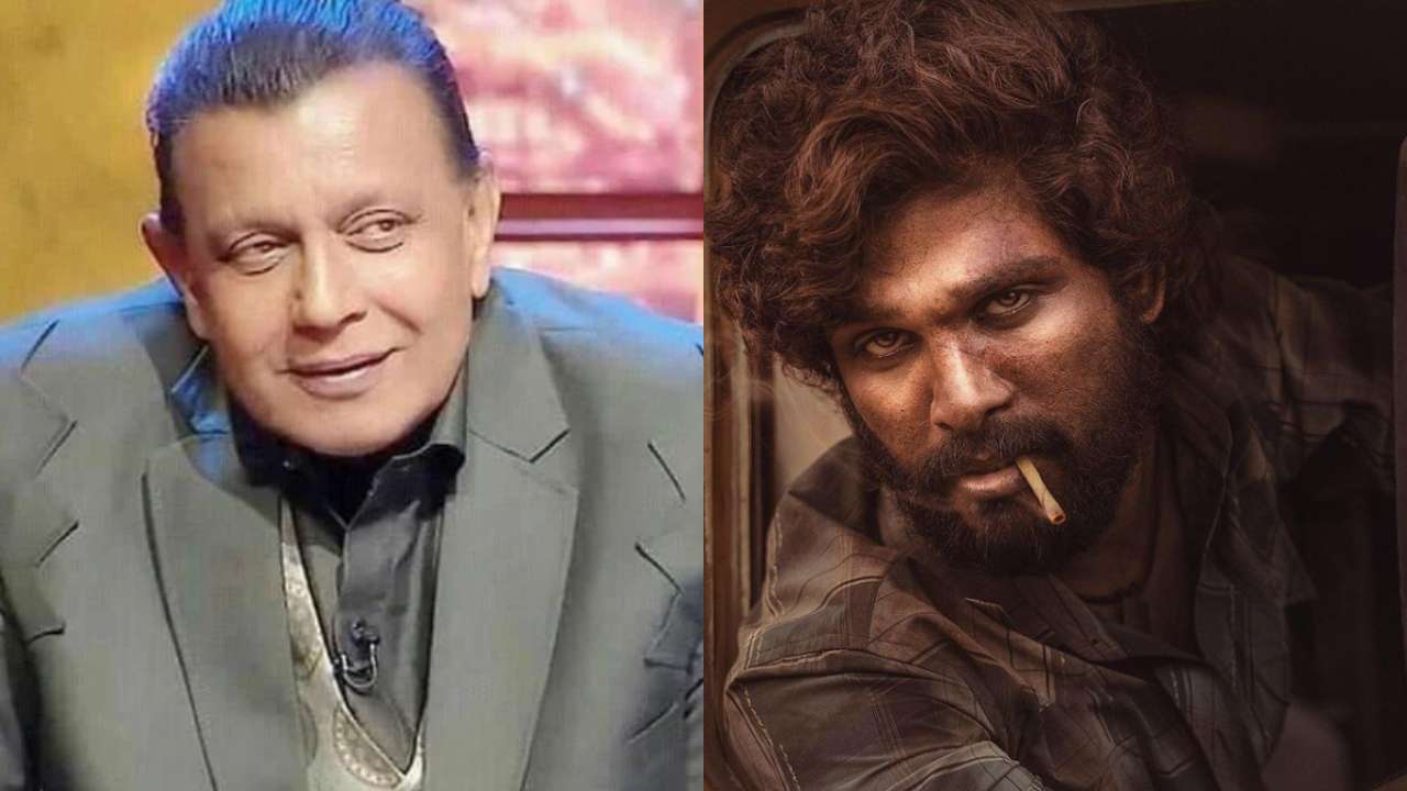 Mithun Chakraborty feels Allu Arjun's 'Pushpa' is similar to movies he did in the 90's Mithun Chakraborty feels Allu Arjun's 'Pushpa' is similar to movies he did in the 90's