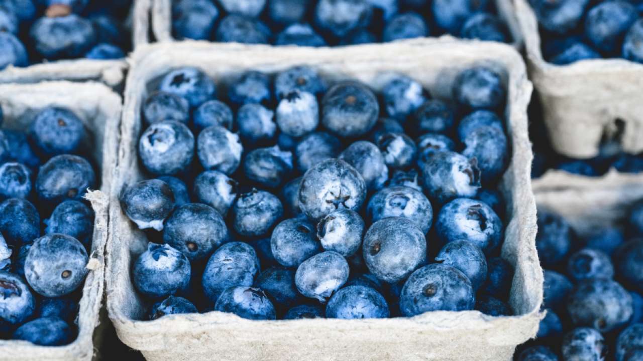 Blueberries