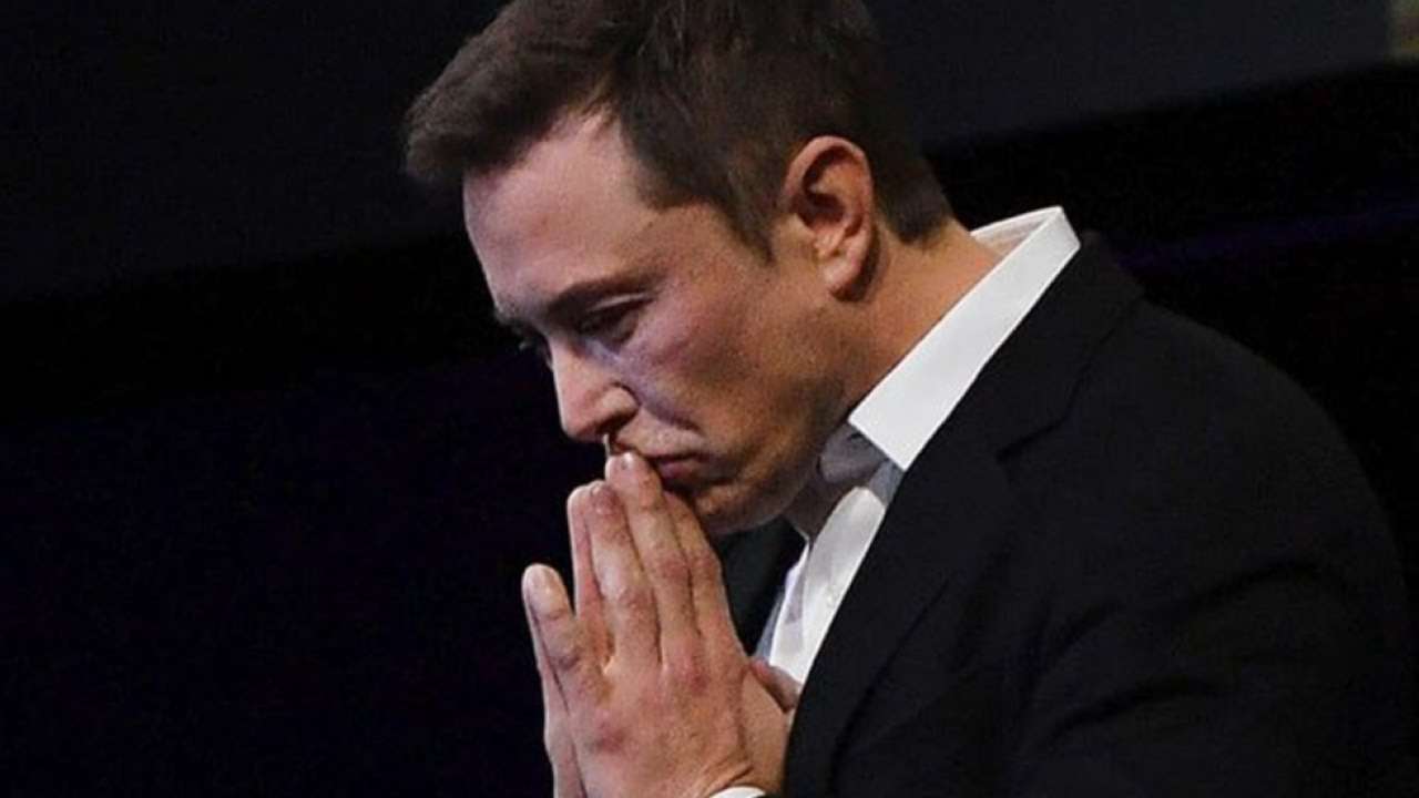 15 out of 23 monkeys part of Elon Musk&#39;s Neuralink trial die after &#39;extreme  suffering&#39;